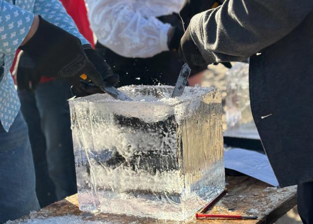 Ice Sculpting Workshop
